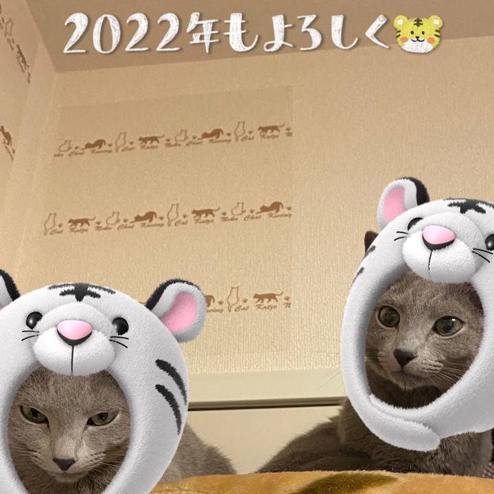 501559c0 5070 49c7 8acd b7189ffc9e90 1641005668842