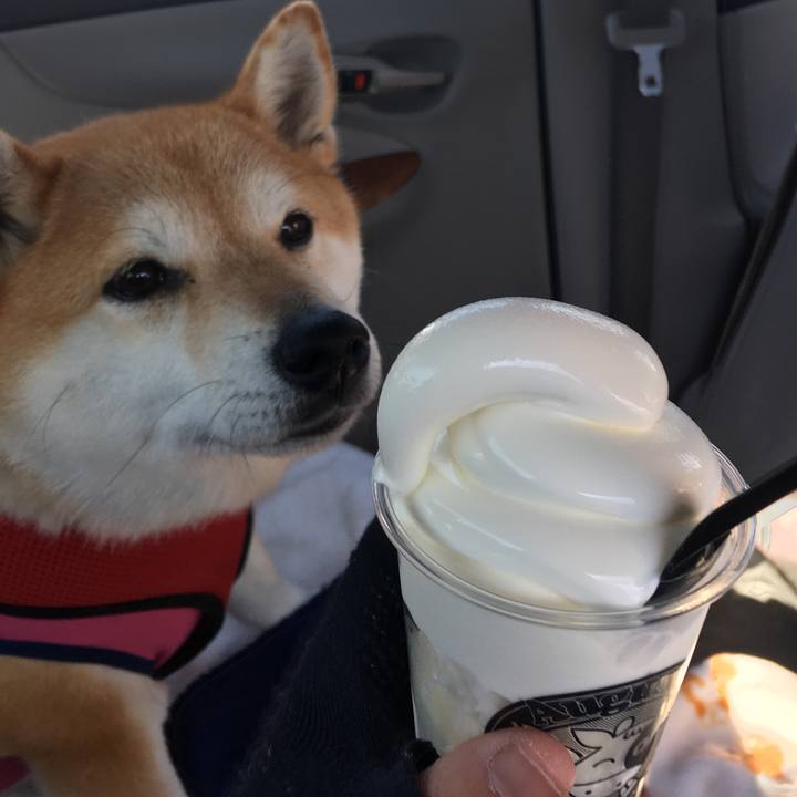 50156d19 4cf6 4713 aa85 d19bfc5a7b1c 1612685382669