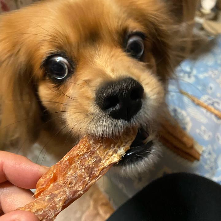 5015b411 ecbe 4cf1 b3a1 8638fc2a50b8 1612560633548