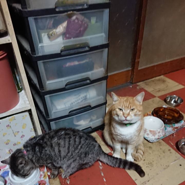 5015db72 bbb0 4279 8d6c c243260deec2 1583916590707