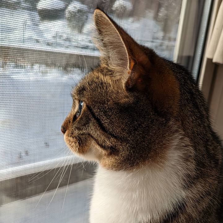 5015f409 3e2e 467a b447 1dbaf6ade9ad 1705362461263