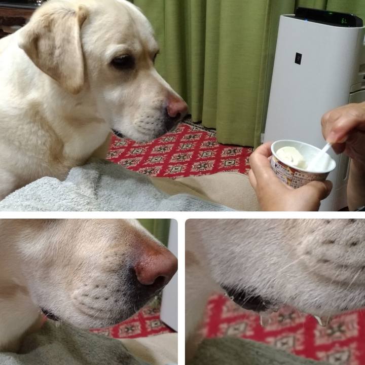 5016062b a81d 46ae 8c9c d90f8f430941 1624359309770