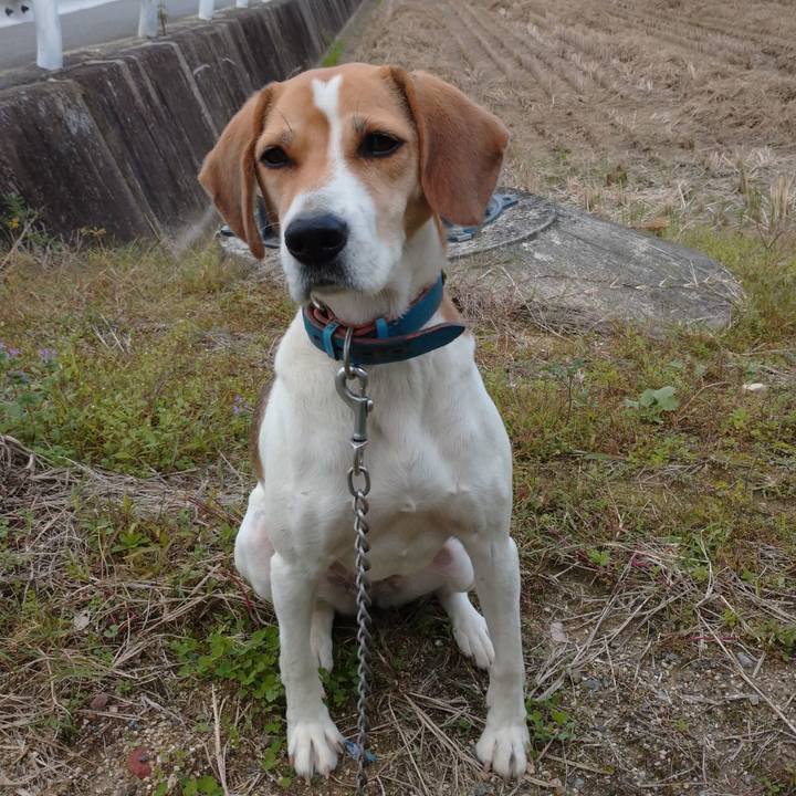 50161768 e50e 4436 a3cc 8ffebfad5c4e 1605077551804