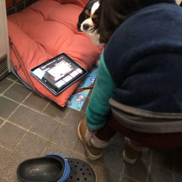 501629b7 7c03 4b4d 8540 73a434e0fbd4 1552701618860