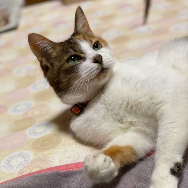 50162a5c 412b 4aa6 8929 c7fdec35a1b3 1644494692918