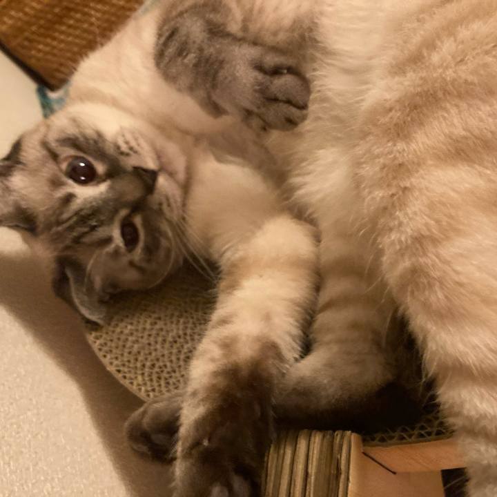 501646cc fa89 4725 aa60 d24918ebc5e3 1721394715549