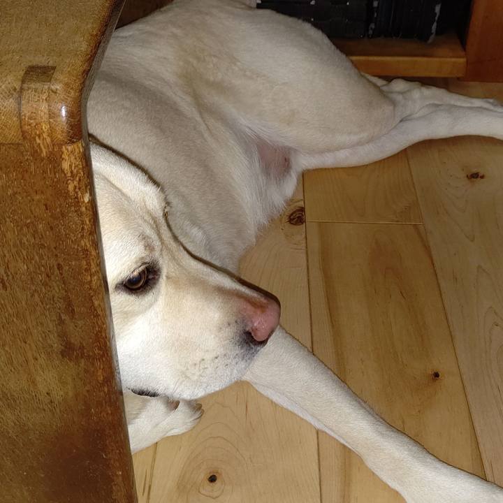 501672da 0387 4f89 9d74 9feccaf03d4d 1612179741105