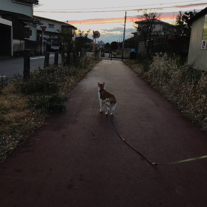 50168f4c 1047 4a73 8aa7 fefbe009a7de 1511433405827