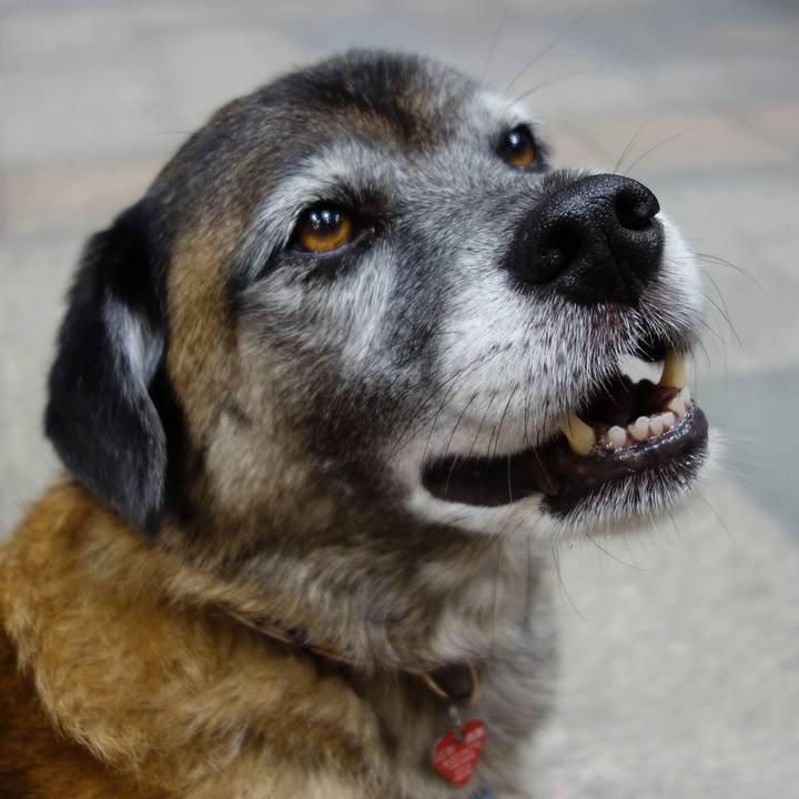 5016cbef e99d 4889 b555 72a06163a9ff 1617839630304