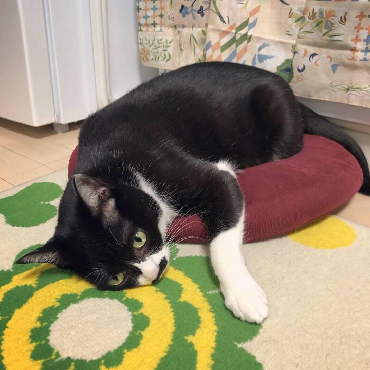 5017242b 19b1 4511 80d6 b0fdfb8681e3 1582730853508