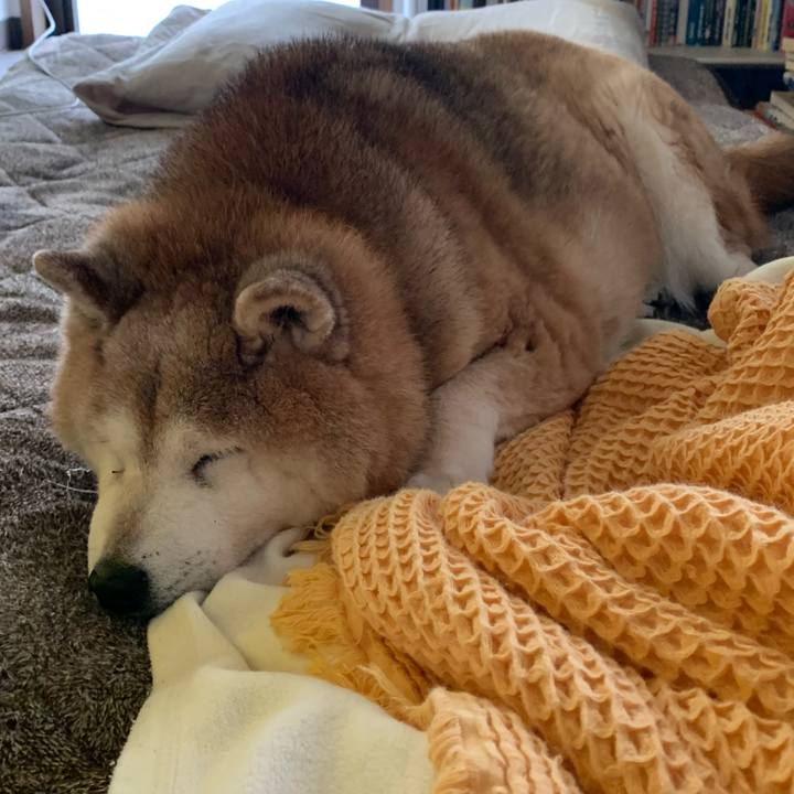 50172e17 f78d 4abd 9149 bc7c9da93a29 1651386306494