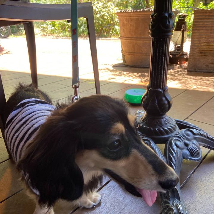 501736ce 9020 4c8a a610 2fa9a8149345 1690685960238