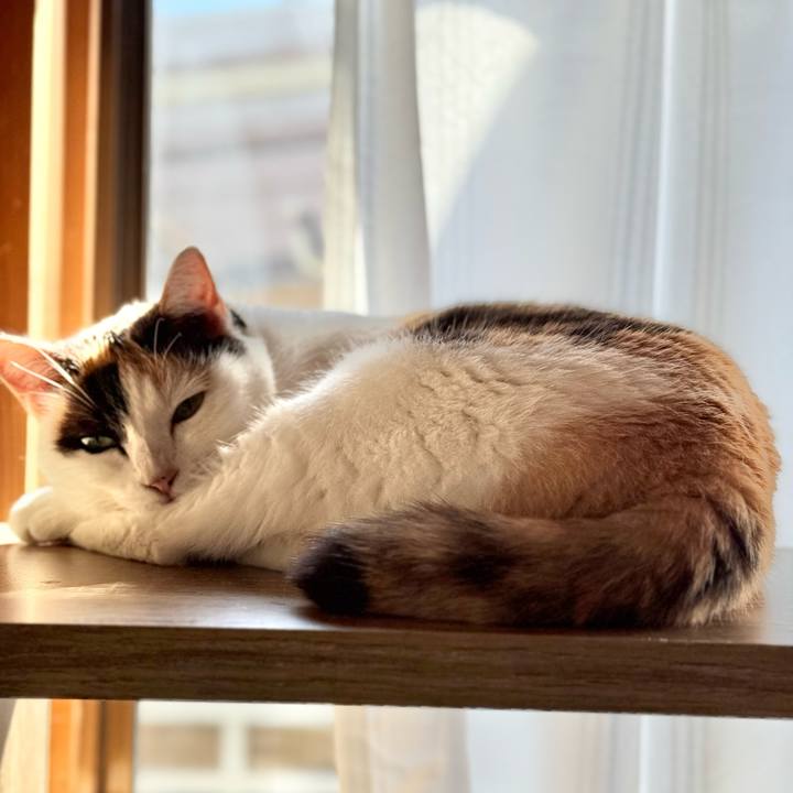 501744d3 bbb4 4a85 961d c2526761610b 1732498171552