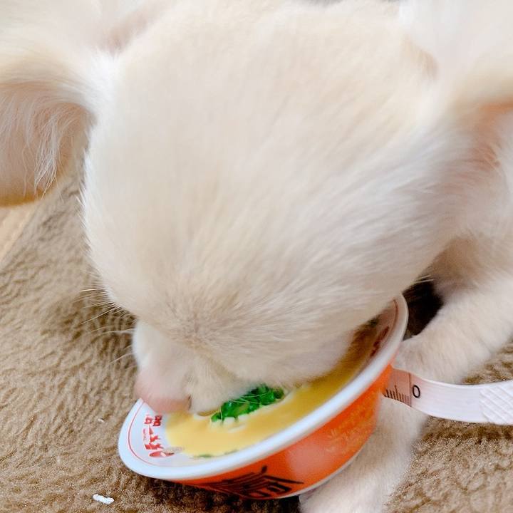 50174c3a df81 44cf a81b 3b62cf1ae945 1592789314802