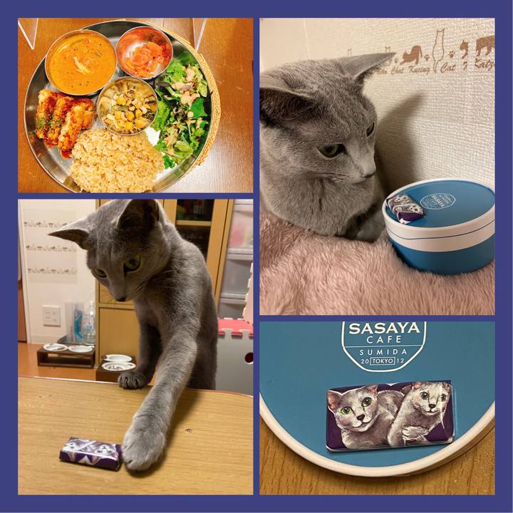 501759af f0b2 4ecc 9759 ee5d962e83c2 1641635371445