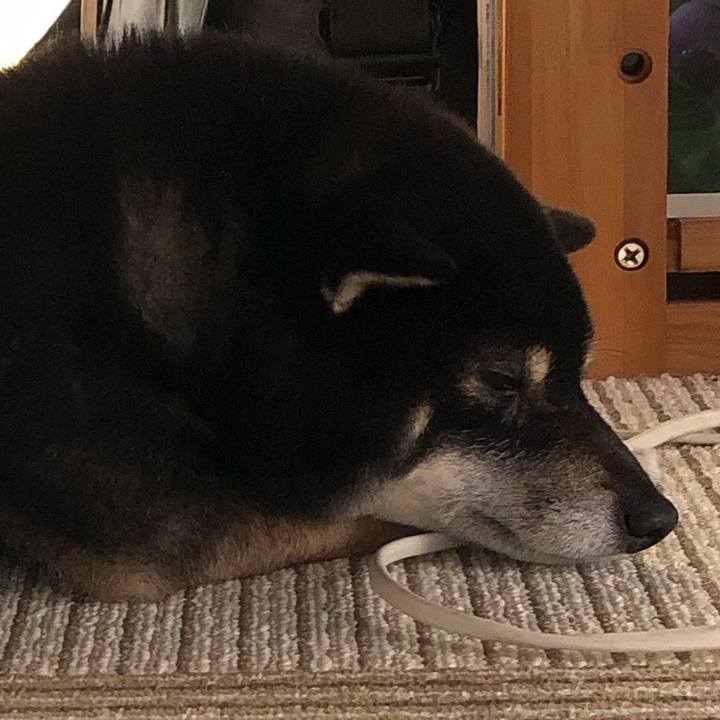 501778c6 416d 4c1e ba5c dee87745f571 1545187315527