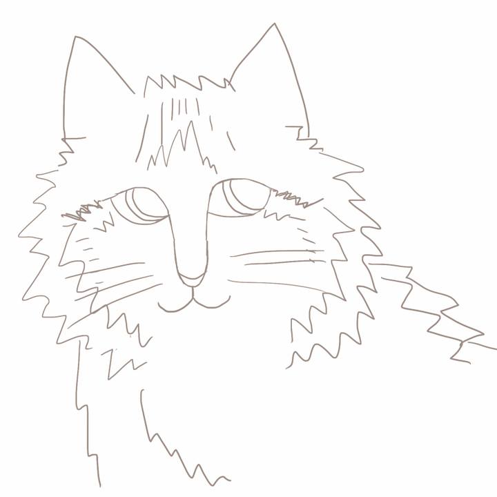 50179918 1a01 460c 9441 8c5910f1c814 1525146627858