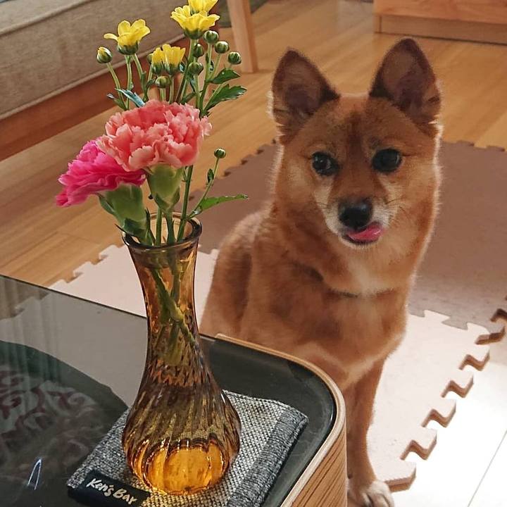 5017c859 8ae6 4561 a880 c027df95f309 1598690299972