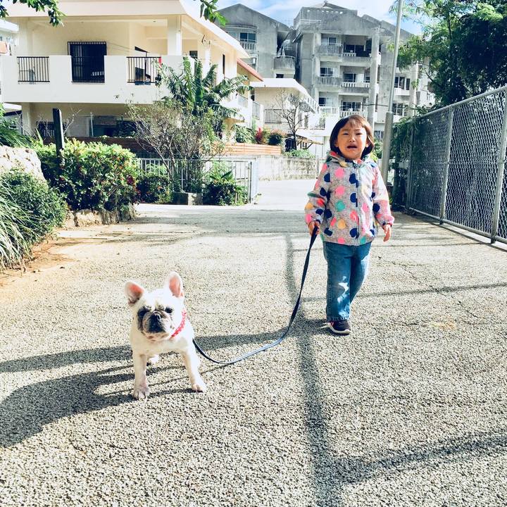 5017cd70 4030 419d bb79 2b02cbbd2750 1513252229025