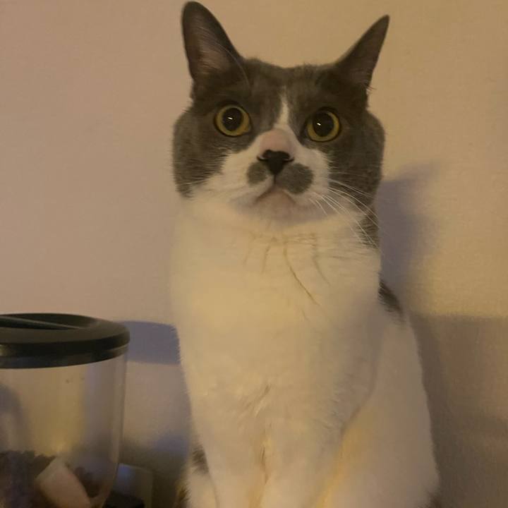 5017ef8c 280f 44dd 8ec0 827e5a3dc034 1741819755224