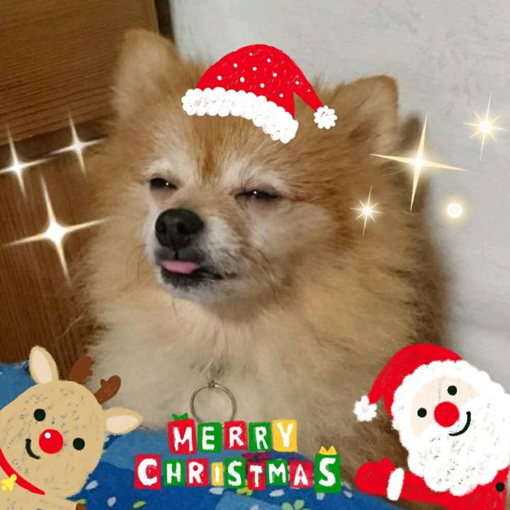 501874a4 b049 4109 a127 8ee18f711df1 1513431310794