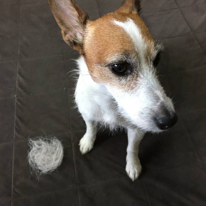 50188ed1 952b 48db bd08 e71735e984d2 1556668449438