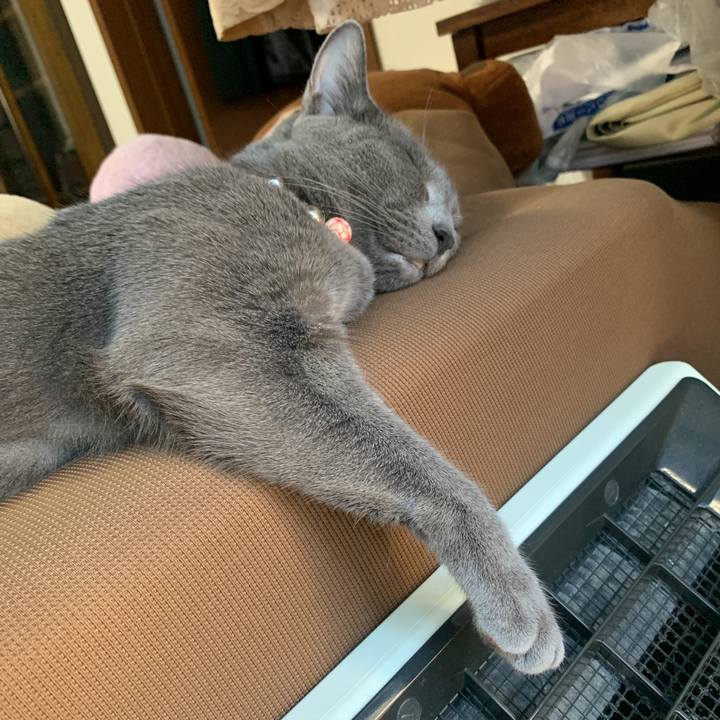 5018e781 5ce1 4da9 adf4 fd2f8483b5d3 1591598632635