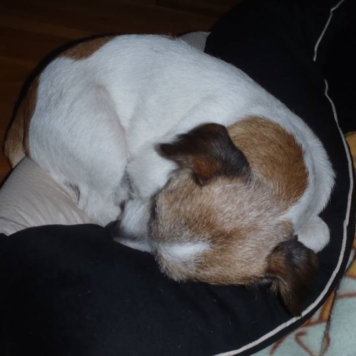 501907a1 5083 4762 986c f27bd409cf63 1511178898455