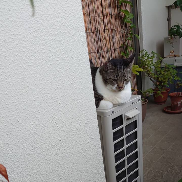 501919b1 7e3a 43f4 a4ea a54fadcdb462 1665013336286