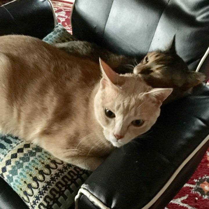 50191e88 9d0f 4f3d bd8c af5a6c808393 1565687473392