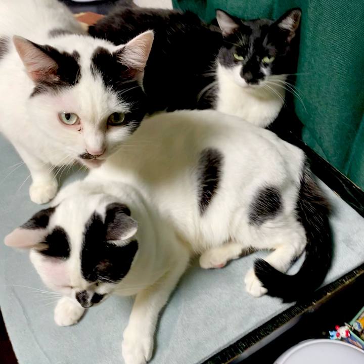 50194044 f8b5 4a33 af9a f85a3b58111d 1644807557675