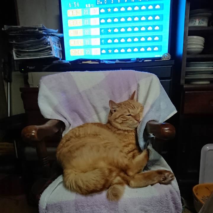 501977bf a805 4be2 983e f702c1632674 1659521399446