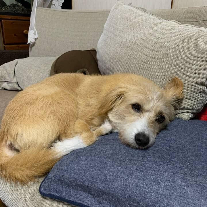 5019bc9a 47c4 4593 b58c cbffe8e290c7 1574670580281