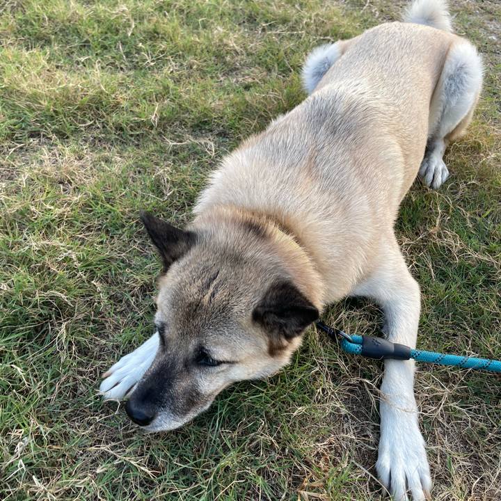 5019e398 21ad 4774 8c73 f745200f4b8a 1697458357777