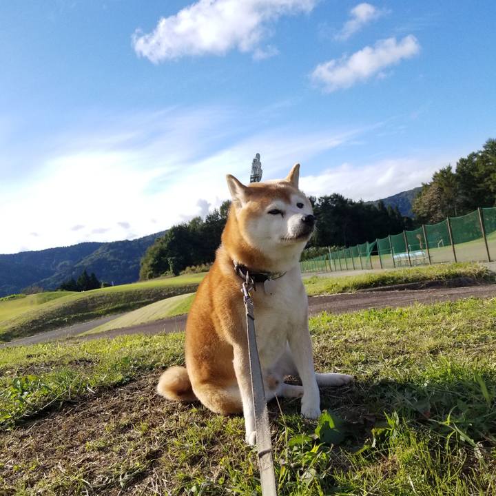 5019ec89 9554 44f2 ac75 102f71dbfb50 1634800771407