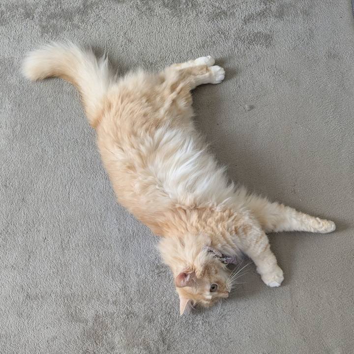 5019fec7 c4fc 4716 8195 3dd81e33a5c4 1757301878580