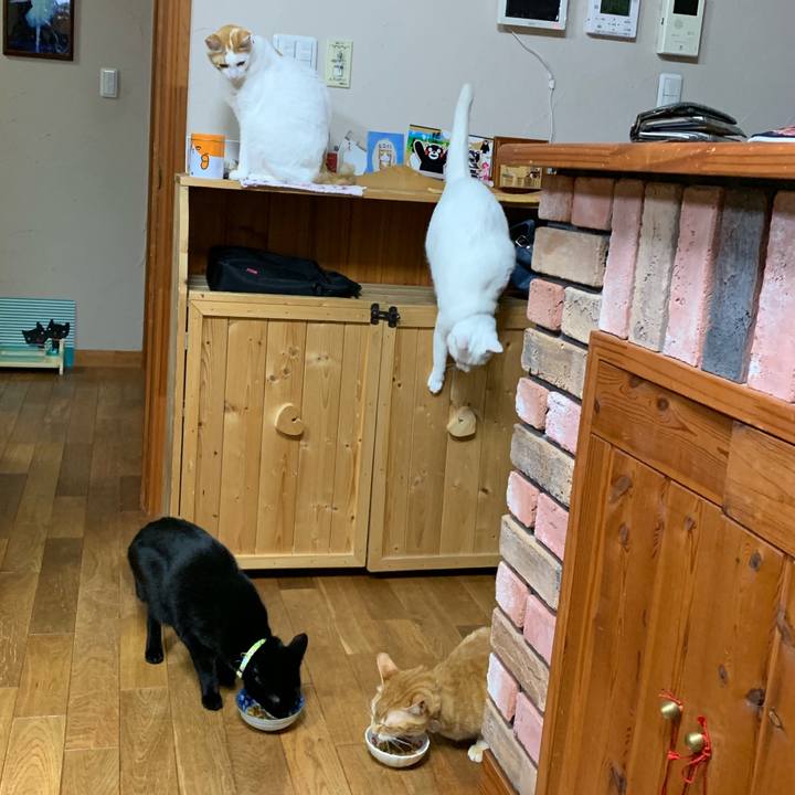 501a0750 8531 47e6 a8cd 7aa3a6655950 1555765206071