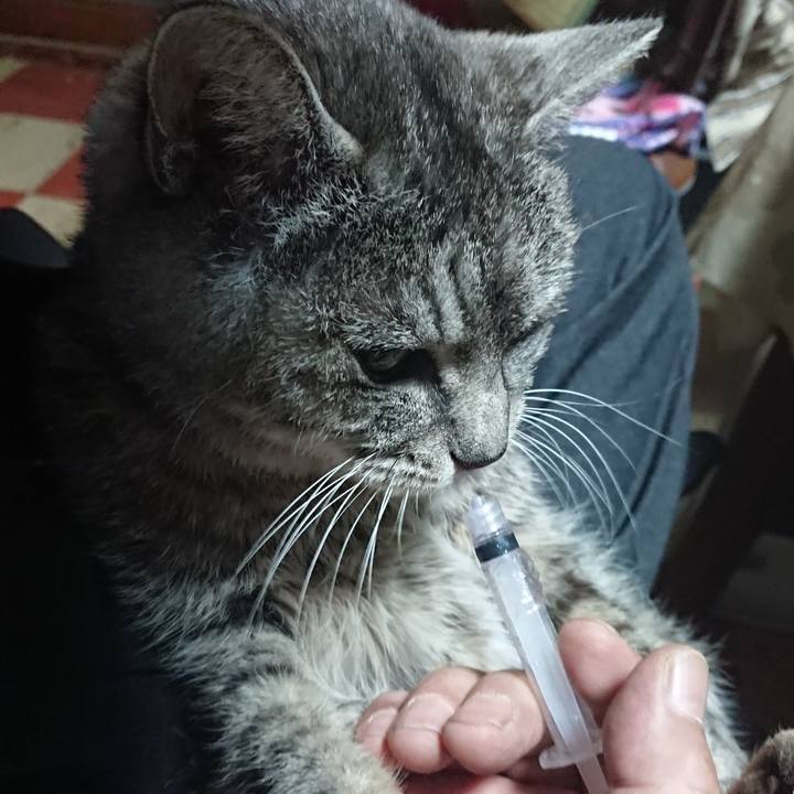 501a231e f622 48c5 a80f 0942724b9769 1579643611348