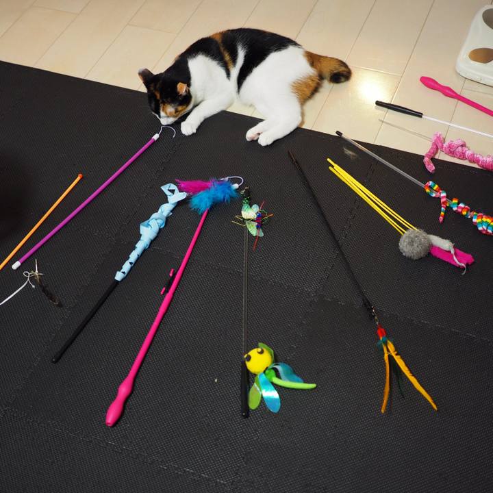 501a2d6f 6e13 45fc a8f5 f5ea2982c13f 1536188038002