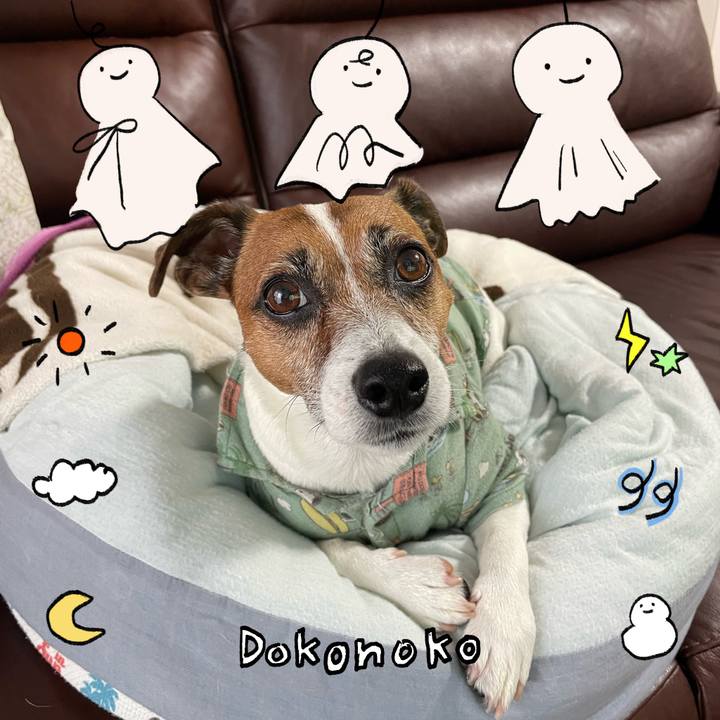 501a3ca6 f1af 48ea 9588 d5973bf5f26a 1749596234578