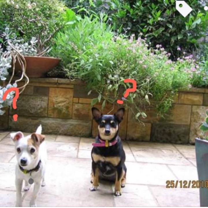 501a63de 301d 4ef1 8b5f fb96061ea70f 1767994986457