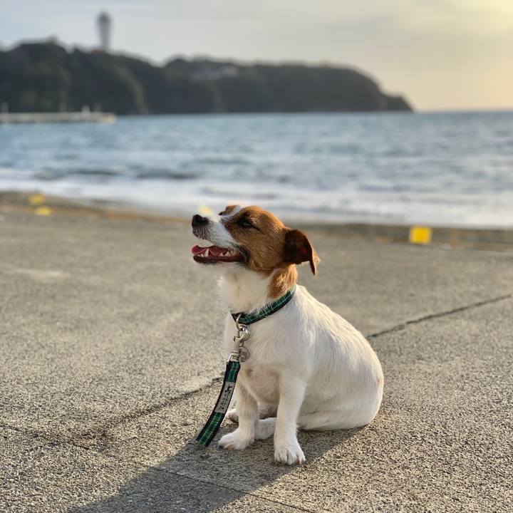 501a817b bd0d 4cb3 8033 bb2801d60873 1544447013044