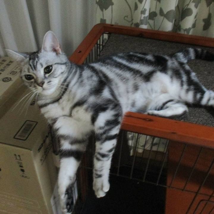 501b3e83 1fa0 4e05 bea1 2be069b72d7f 1557829685107