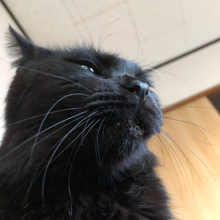 501b554c 486a 4c3a b653 56abe2967f80 1600900720456