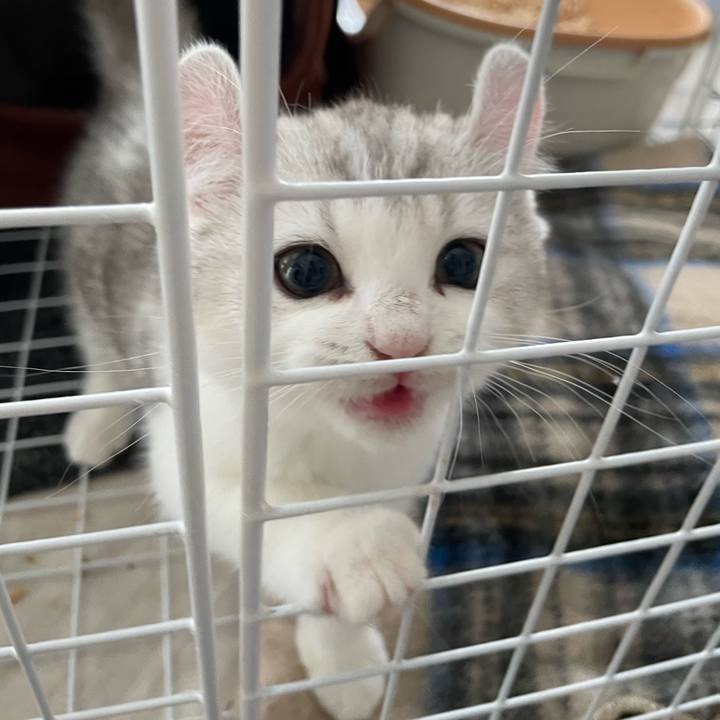 501b7a6b 6469 4362 ae94 ddee3bf7e7ea 1776813579545