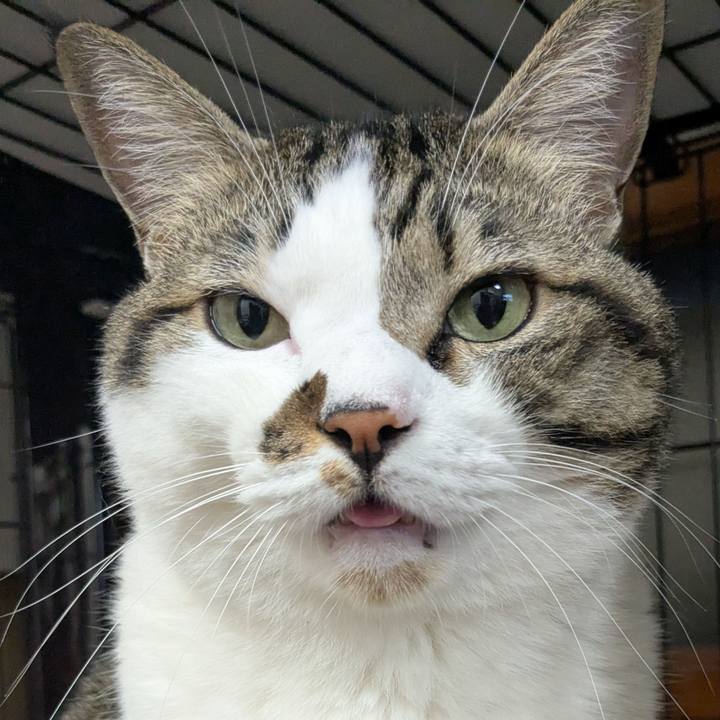 501b868f 0c3a 480b ad23 453e157475b7 1758453779580