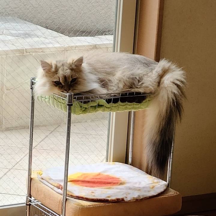 501bf3fe 98bb 4709 ba1f 696a95b53b7d 1615513799888