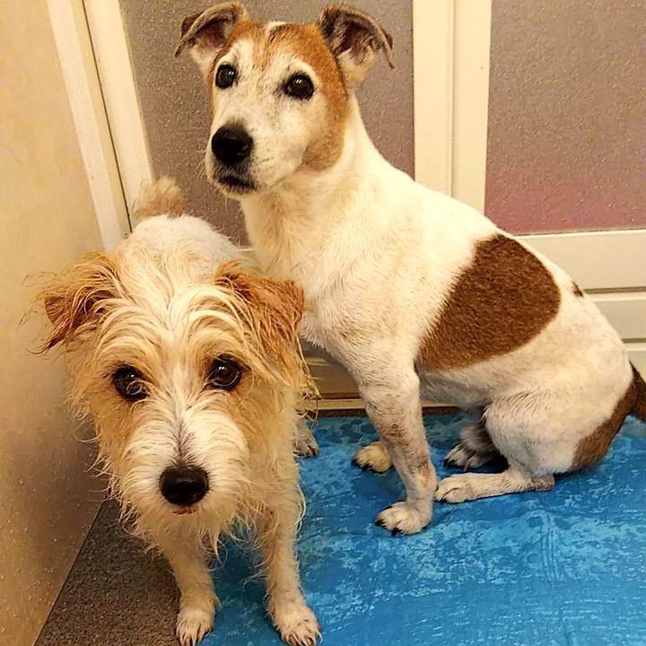 501c0620 480c 4f94 b996 18113a10dd89 1563017443186