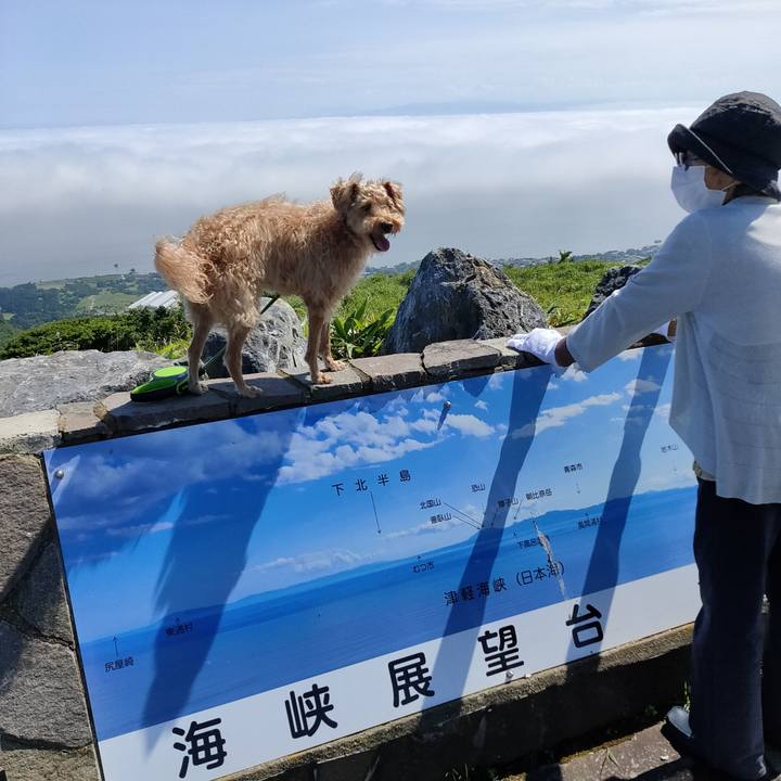 501c0f26 f4c9 4106 9493 5b80bafdd48a 1596257204364