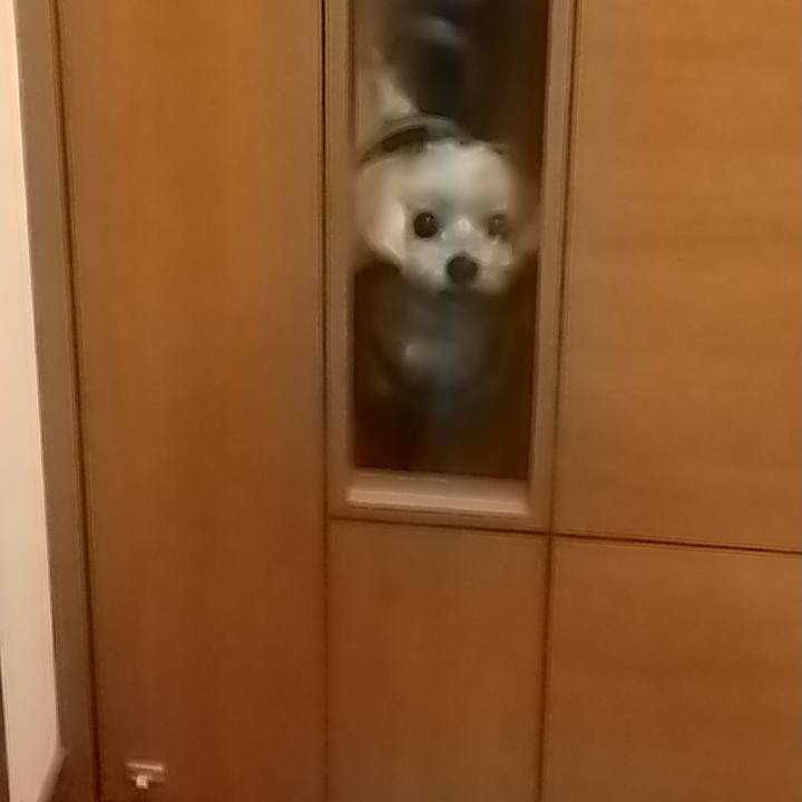 501c8801 a866 4556 862a 5c584880d8e7 1575987768678